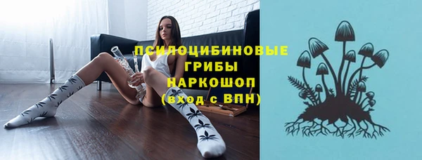 ECSTASY Абаза