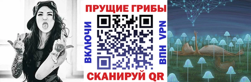 Псилоцибиновые грибы GOLDEN TEACHER  Куровское 