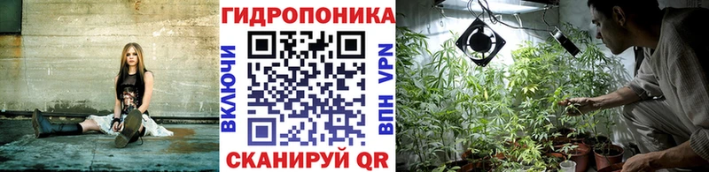 наркотики  Куровское  Каннабис OG Kush 